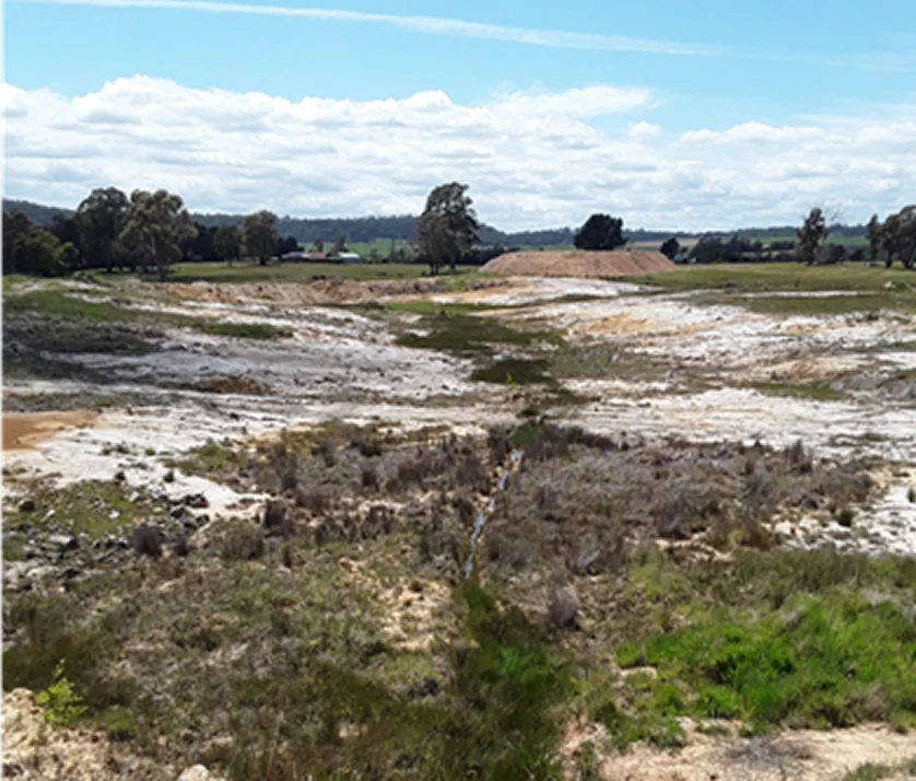 Wetland area assessed at the Beaconsfield Gold Mine site