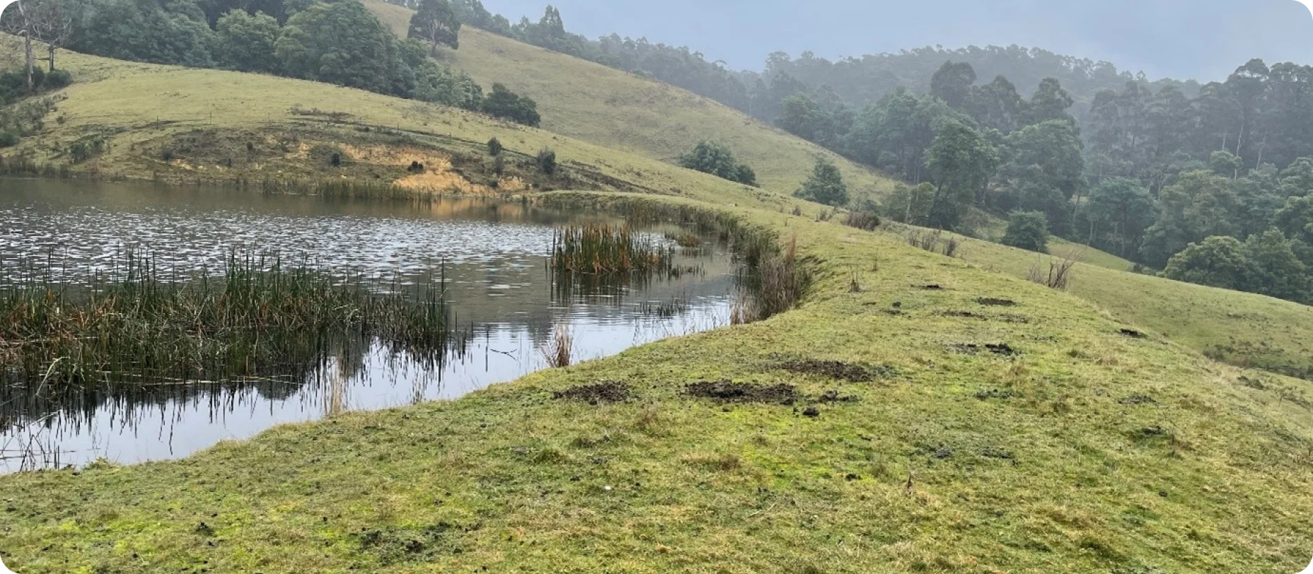 Waterway and grazing land in the Port Arthur masterplan area